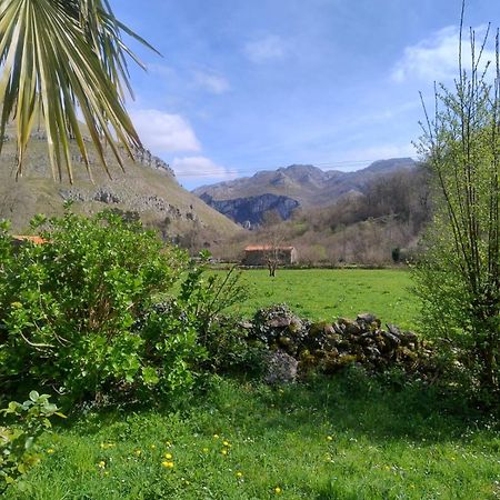 Amplia Y Comoda Casa De Piedra Con Porche Y Jardin San Roque de Ríomiera Esterno foto