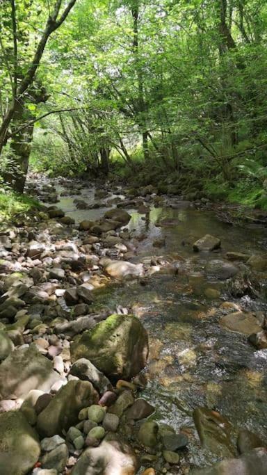 Amplia Y Comoda Casa De Piedra Con Porche Y Jardin San Roque de Ríomiera Esterno foto