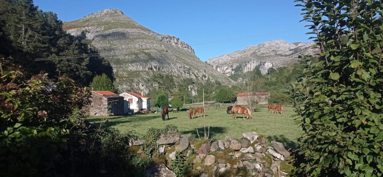Amplia Y Comoda Casa De Piedra Con Porche Y Jardin San Roque de Ríomiera Esterno foto