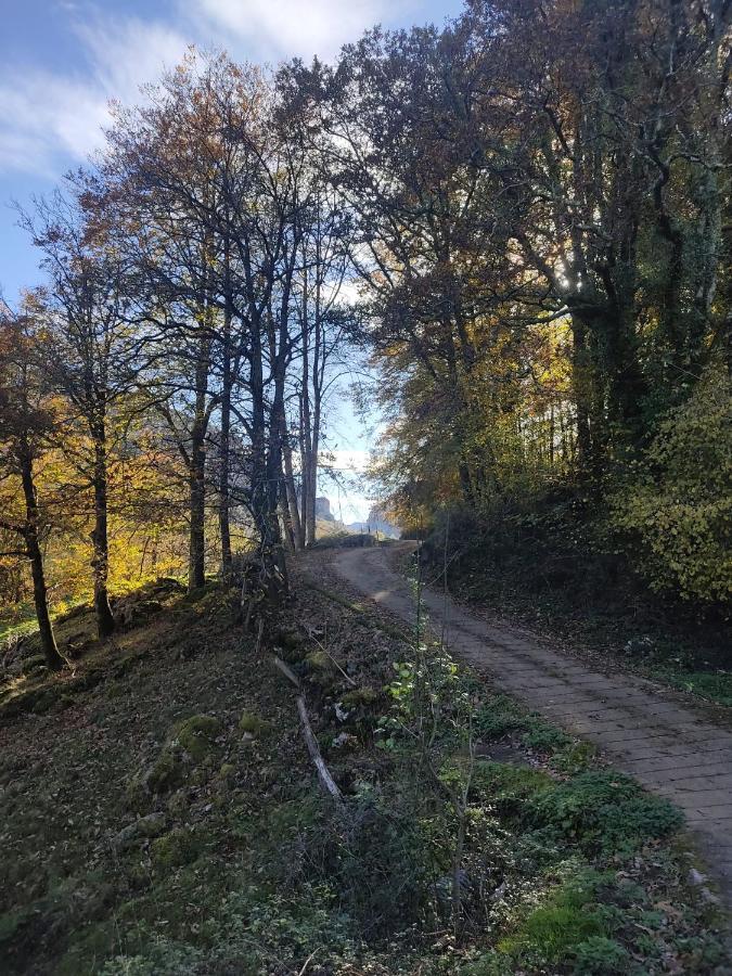 Amplia Y Comoda Casa De Piedra Con Porche Y Jardin San Roque de Ríomiera Esterno foto