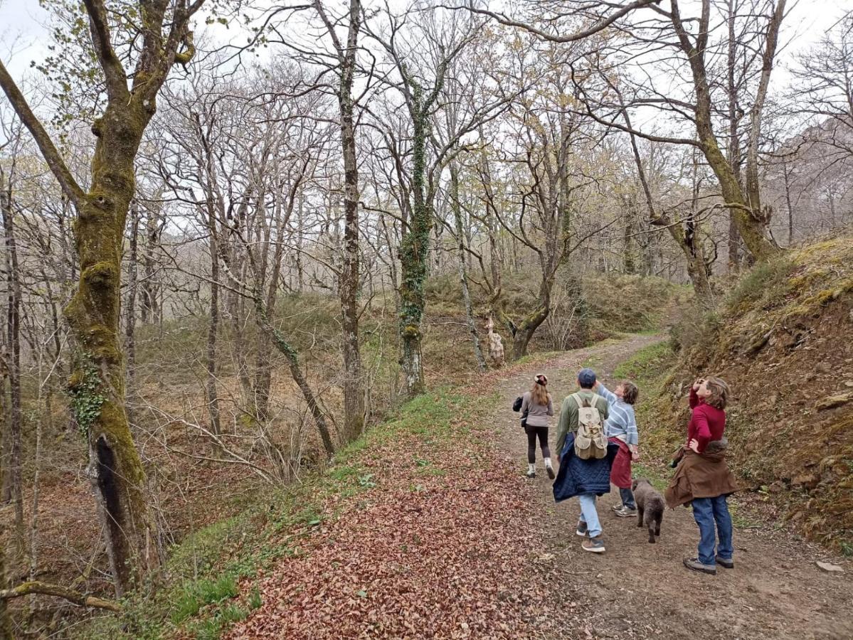 Amplia Y Comoda Casa De Piedra Con Porche Y Jardin San Roque de Ríomiera Esterno foto