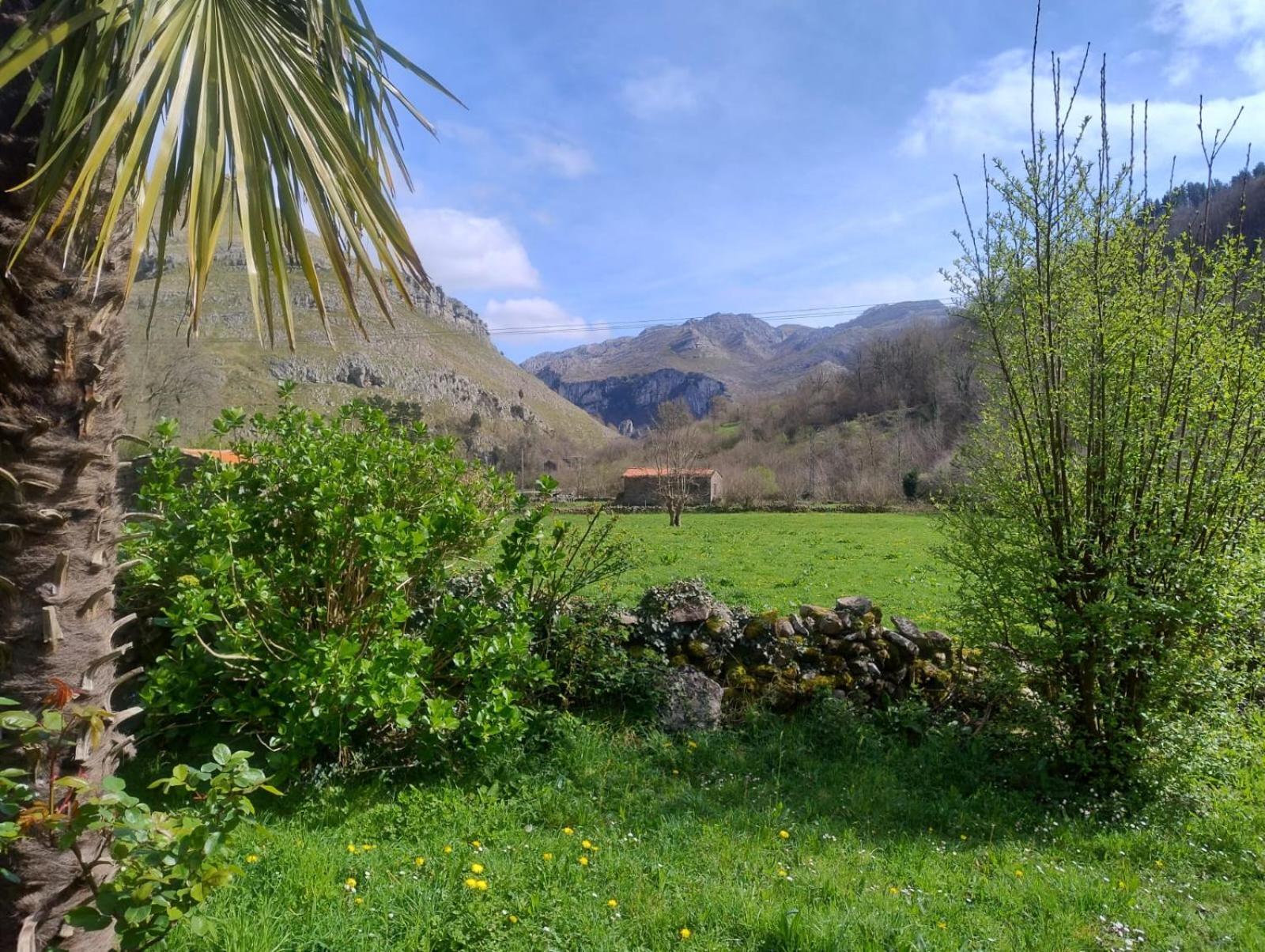 Amplia Y Comoda Casa De Piedra Con Porche Y Jardin San Roque de Ríomiera Esterno foto